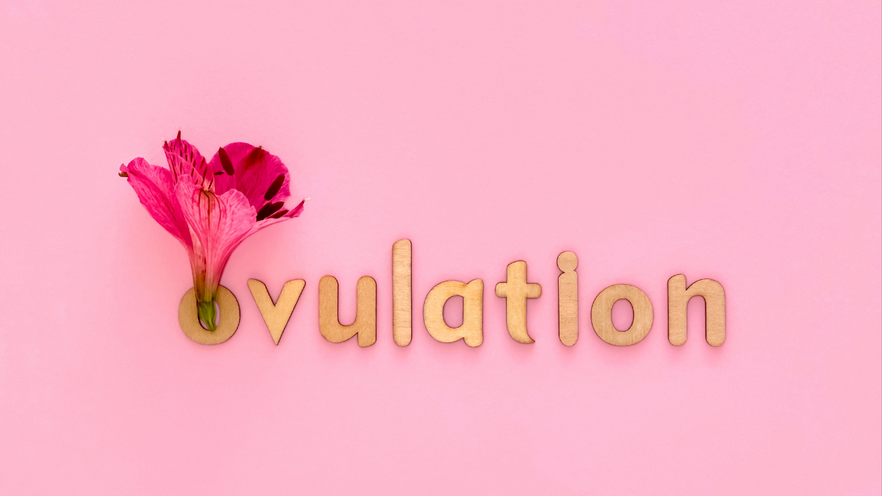 What Does a Positive Ovulation Test Look Like?